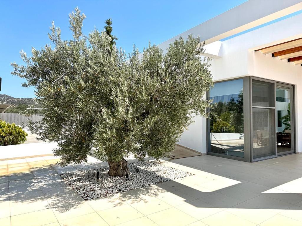 Leblanc Luxurious Beachfront Villa, Gcollectiongr 에르미오니 외부 사진