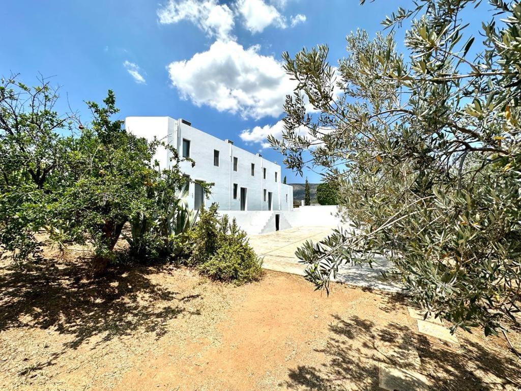 Leblanc Luxurious Beachfront Villa, Gcollectiongr 에르미오니 외부 사진