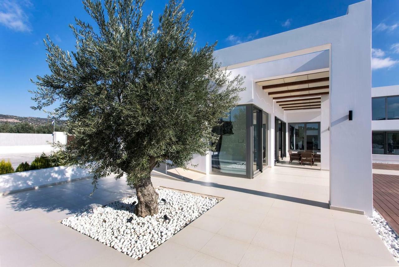 Leblanc Luxurious Beachfront Villa, Gcollectiongr 에르미오니 외부 사진